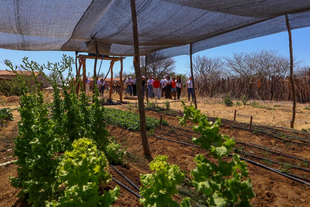 Juventude Rural promove visitas à comunidades indígena e quilombola em Paulistana