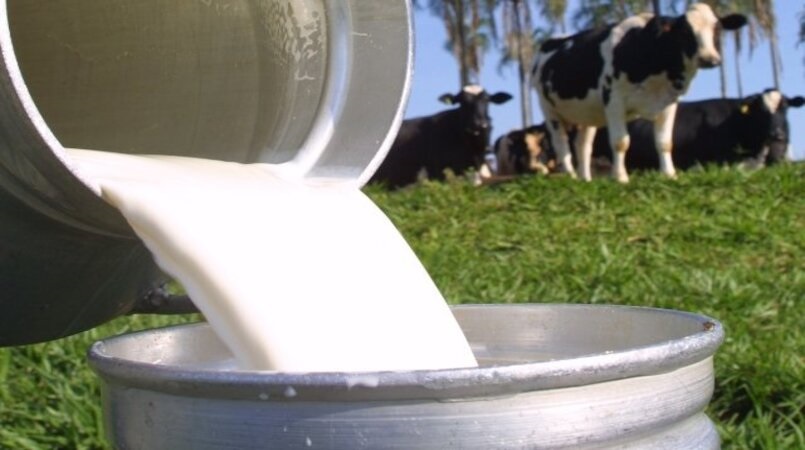 Sada participa de lançamento de nova cooperativa de produtores de leite em Piracuruca