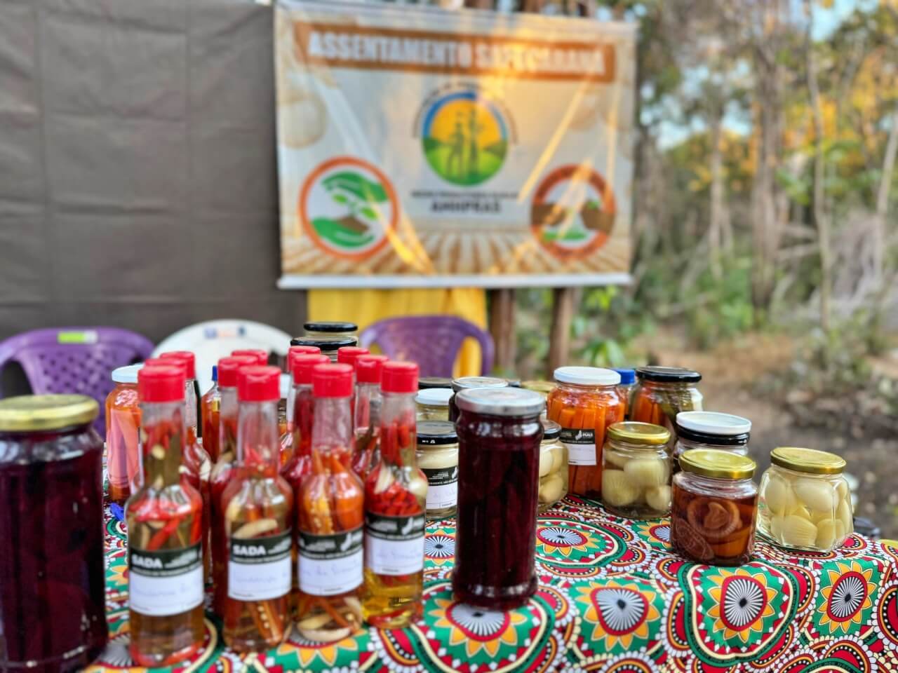 Comunidade de Teresina é beneficiada com cursos que incentivam o empreendedorismo no campo