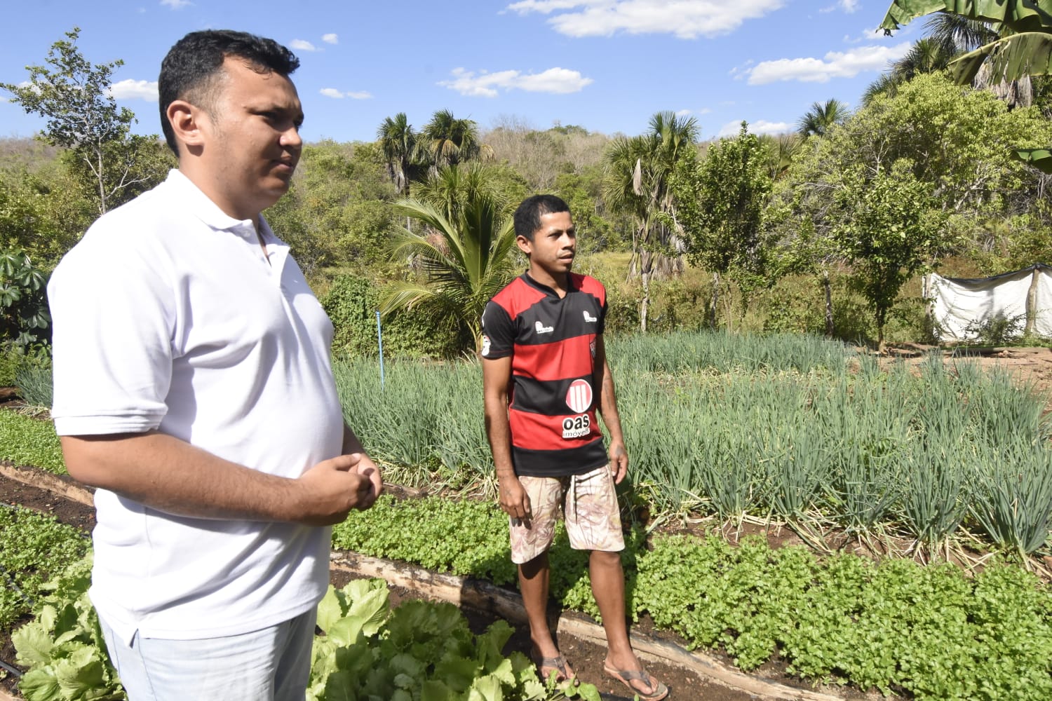 Em Uruçuí, kits de irrigação aumentam a produção da agricultura familiar