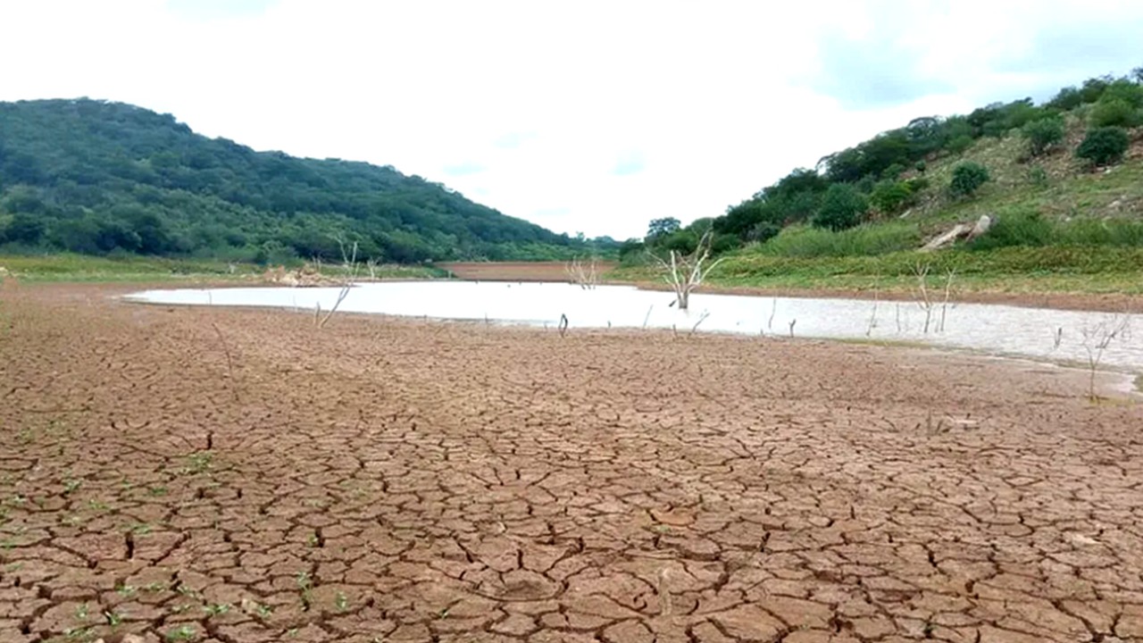Piauí enfrenta seca histórica e intensifica medidas de enfrentamento