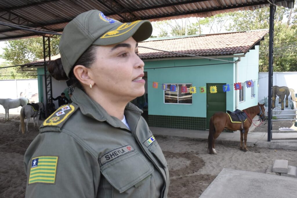 Equoterapia no Piauí já beneficiou mais de 6 mil pessoas e realizou cerca de 60 mil atendimentos
