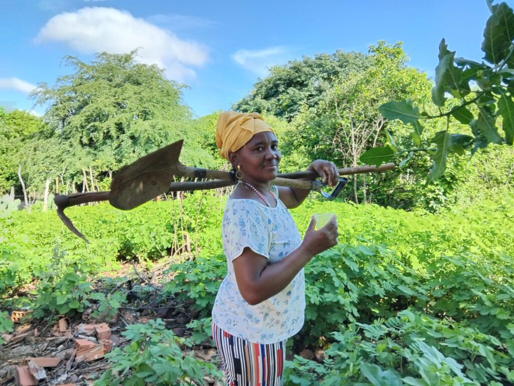 Governo do Piauí fortalece protagonismo feminino e juventude rural por meio do Projeto Piauí Sustentável e Inclusivo