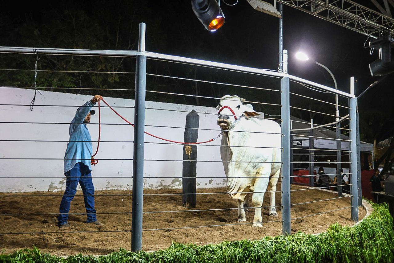 Sada participa da Expopiripiri 2025 e apresenta programa “Piauí Mais Genética”
