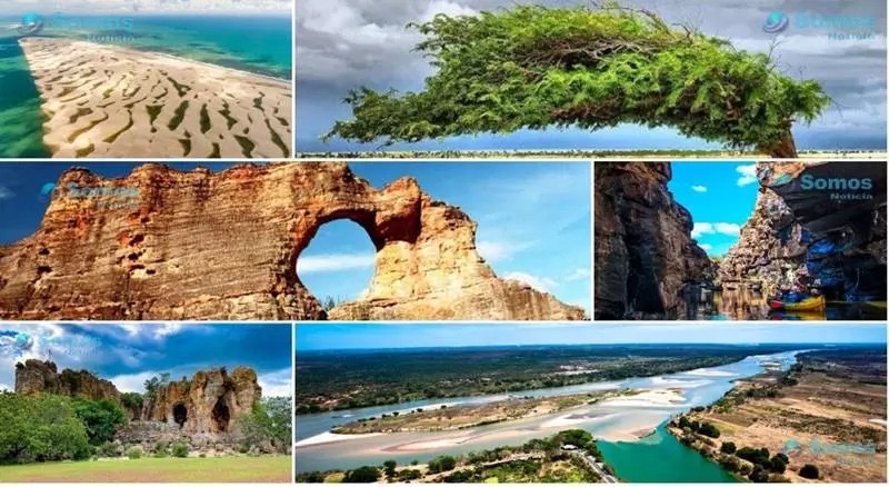 Aplicativo Turismo PI vai conectar turistas e prestadores de serviços
