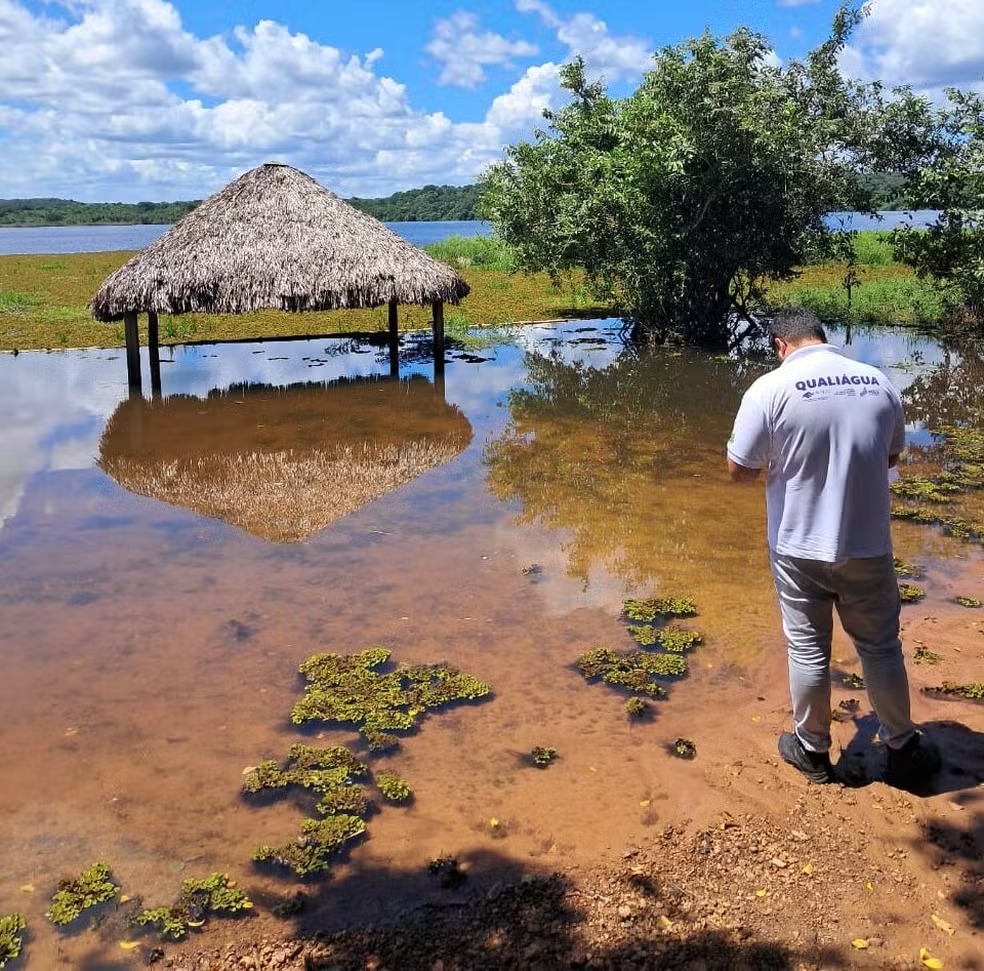 Semarh intensifica ações contra a proliferação de aguapés nos rios Poti e Parnaíba