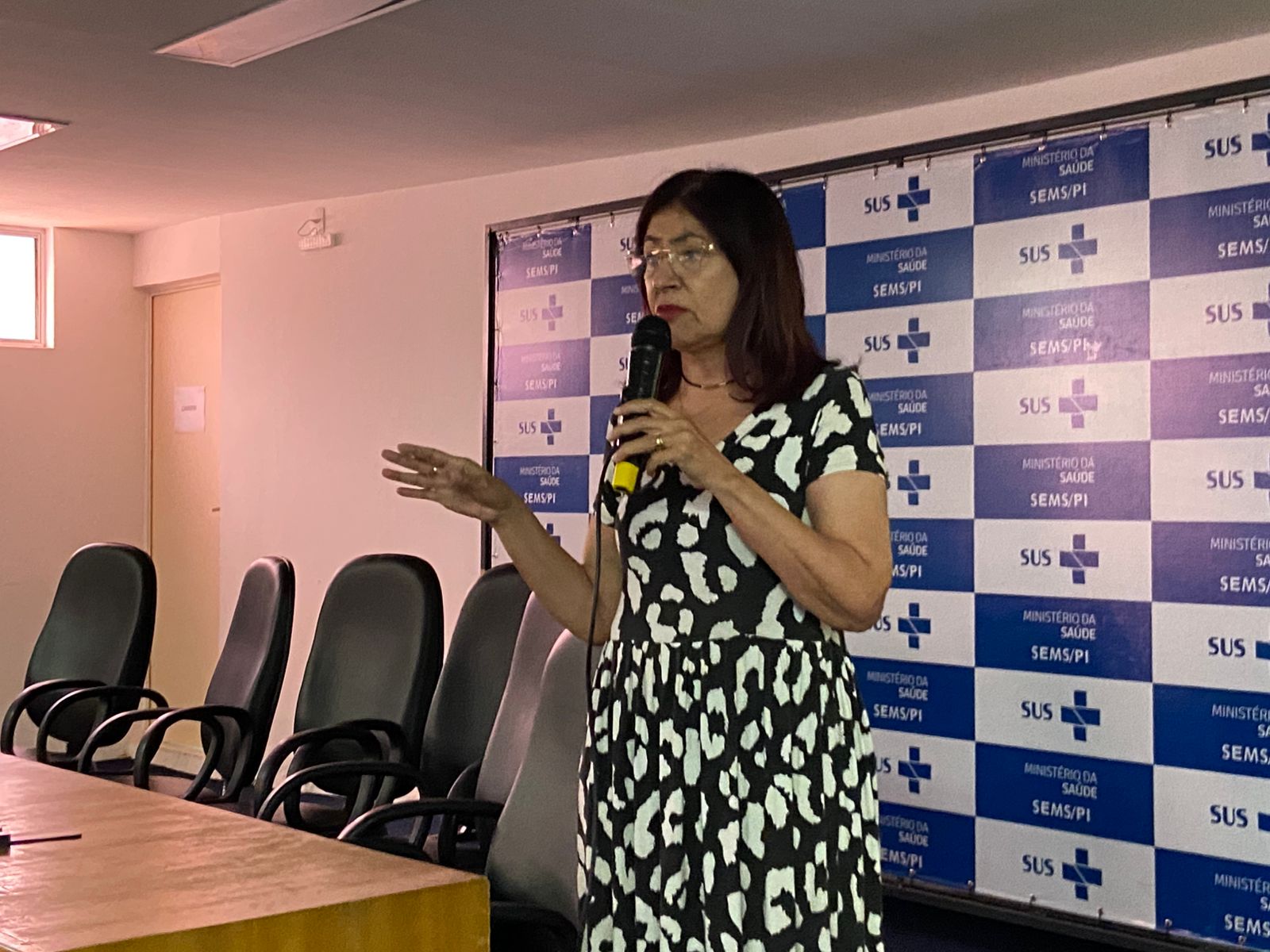 Sesapi promove oficina para orientar gestores municipais na elaboração de planos de saúde