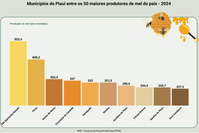Piauí mantém liderança no Nordeste e é o segundo maior produtor de mel do Brasil, segundo dados do IBGE