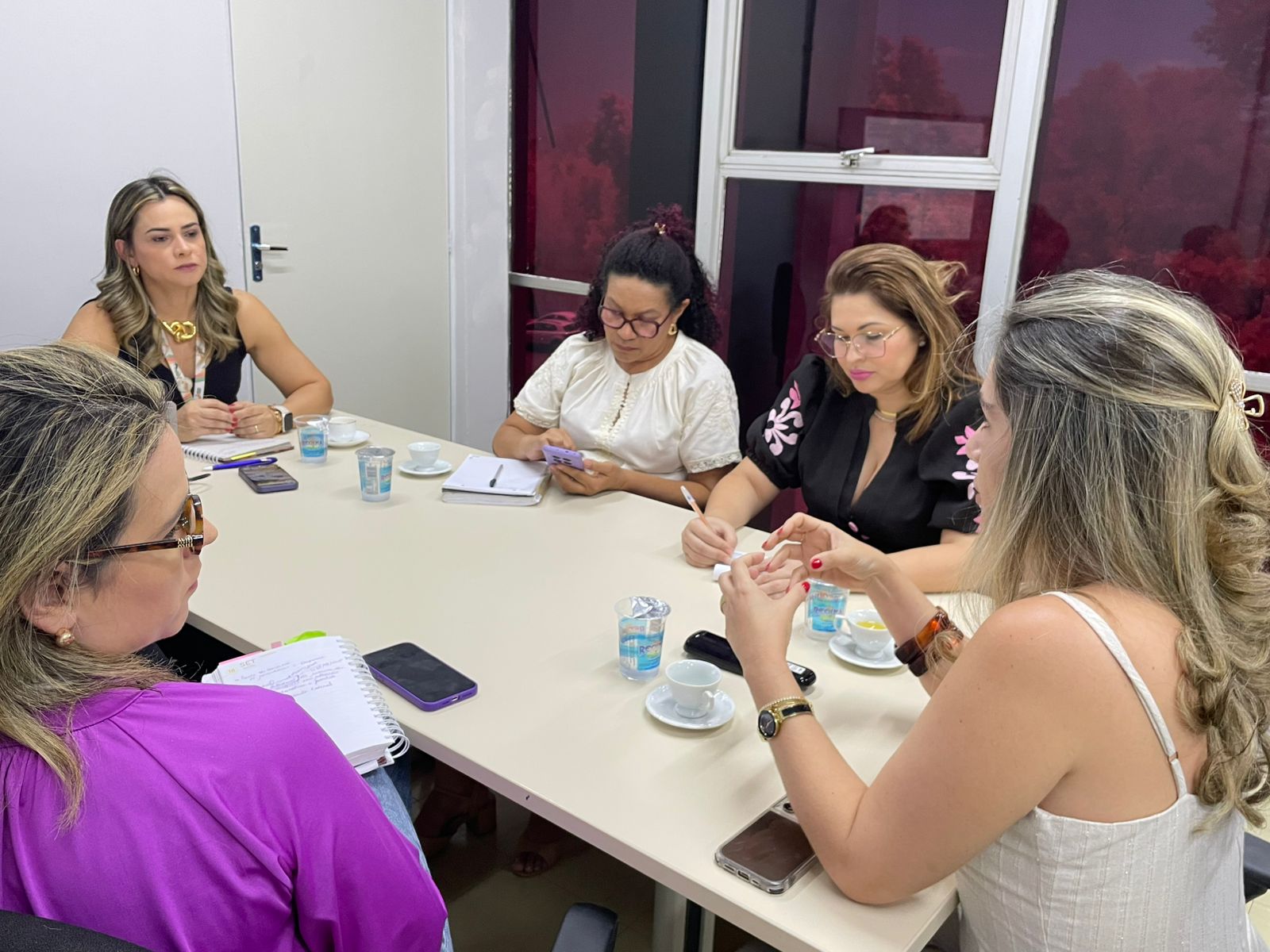 Sempi e Sead debatem aplicação da lei de reserva de vagas para mulheres em situação de violência