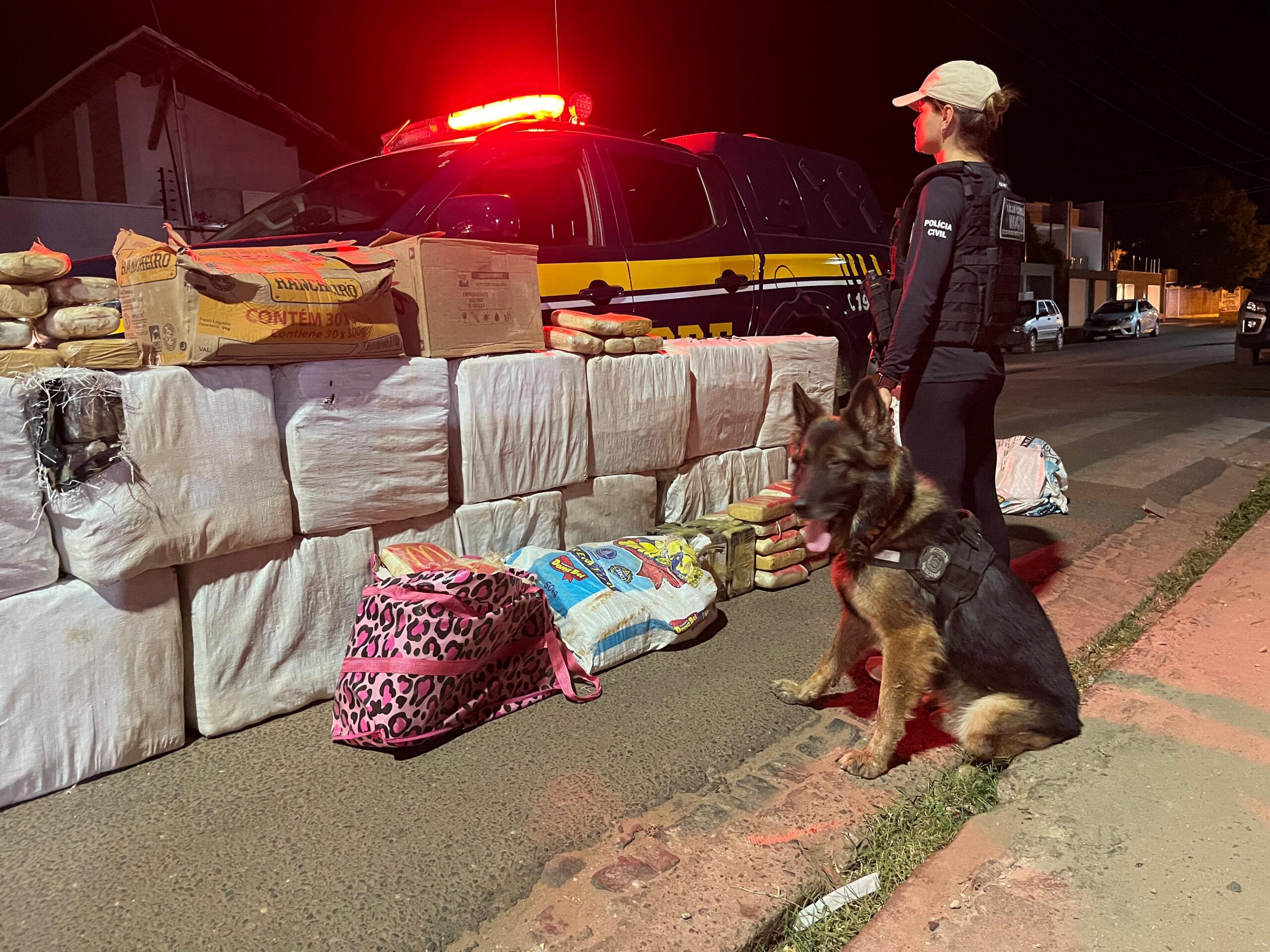 Integração do uso de cães policiais eleva eficiência e credencia novos investimentos da SSP