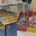 68d69e56d0172_Chineses são presos por contrabando de barbatanas de tubarão em Parnaíba