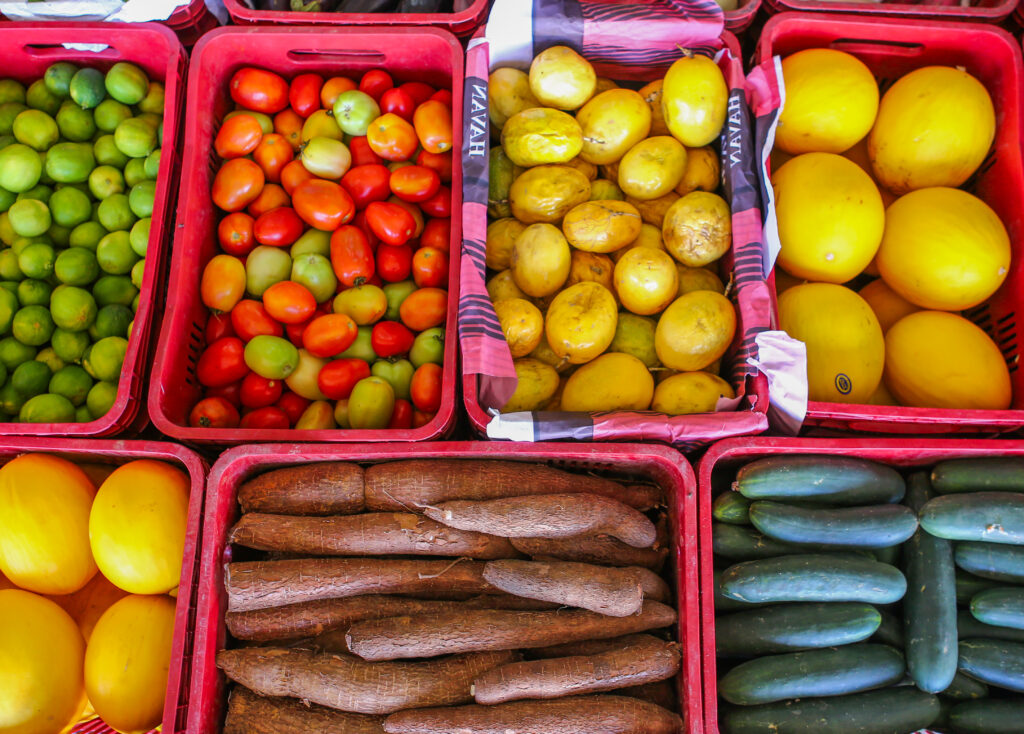SAF abre inscrições para seleção de entidades recebedoras do Programa de Alimentação Saudável (PAS)