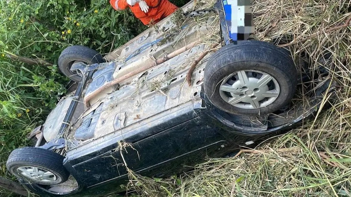 Criança sobrevive por dias ao lado dos pais mortos após acidente em PE