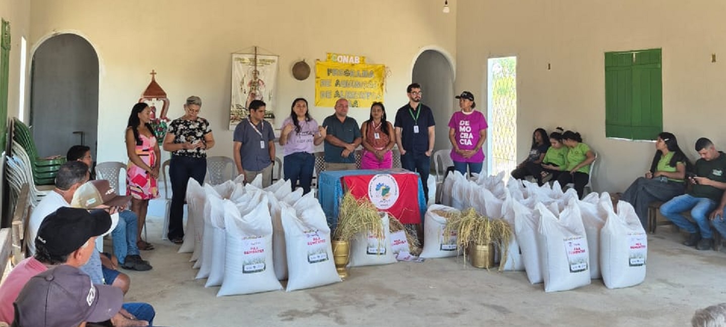 SAF vai distribuir 10 toneladas de sementes de arroz a agricultores familiares para incentivar produção no Piauí