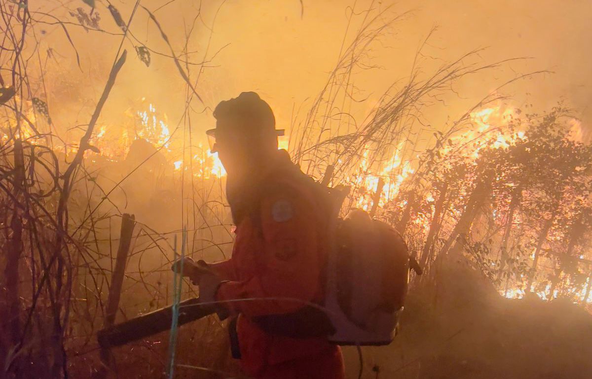 Operação Protetor dos Biomas: incêndio de grandes proporções é extinto na cidade de Batalha