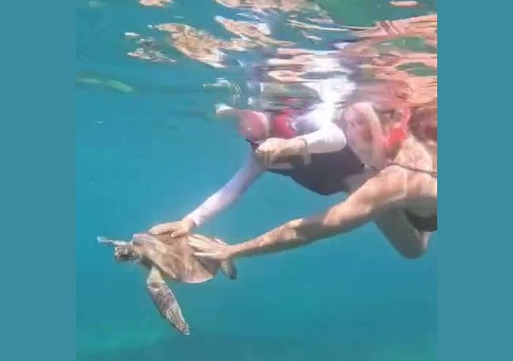 Turista é multada em R$ 10 mil por tocar tartaruga em Fernando de Noronha