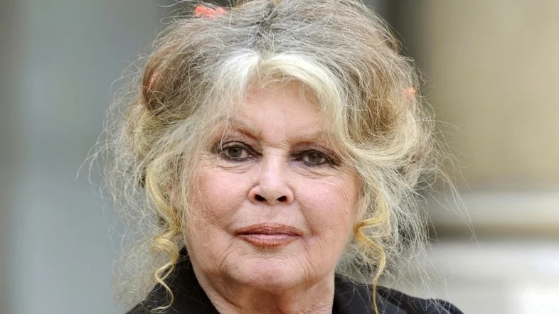 Brigitte Bardot, de 91 anos, é internada em estado grave na França