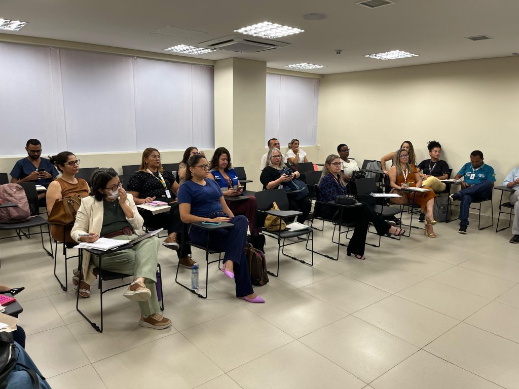 Sesapi realiza segunda oficina do Projeto Primeiros Passos e Ações contra a Zika no Piauí