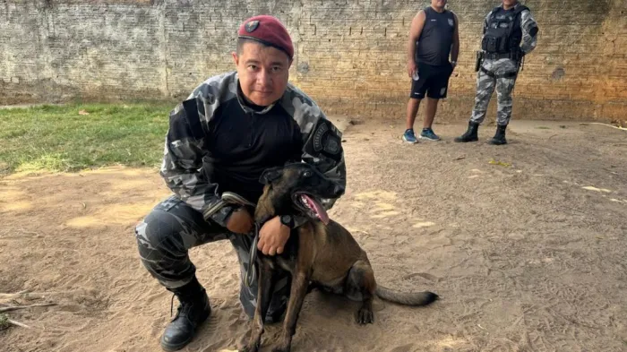 Abertas inscrições da 1ª Cãorrida do Núcleo de Operações com Cães em Teresina
