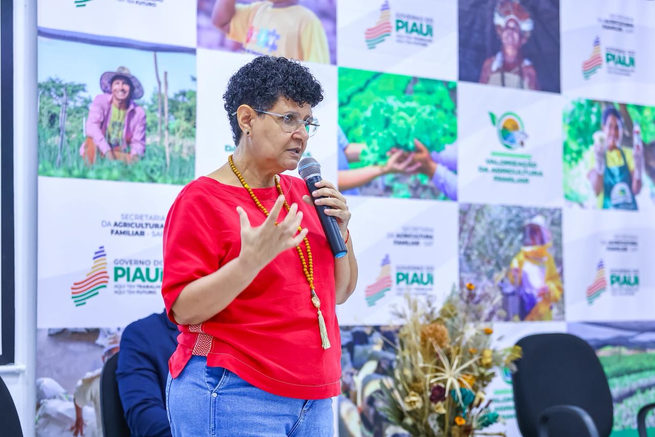 SAF realiza oficina de construção de parcerias e estratégias com cooperativas do Piauí