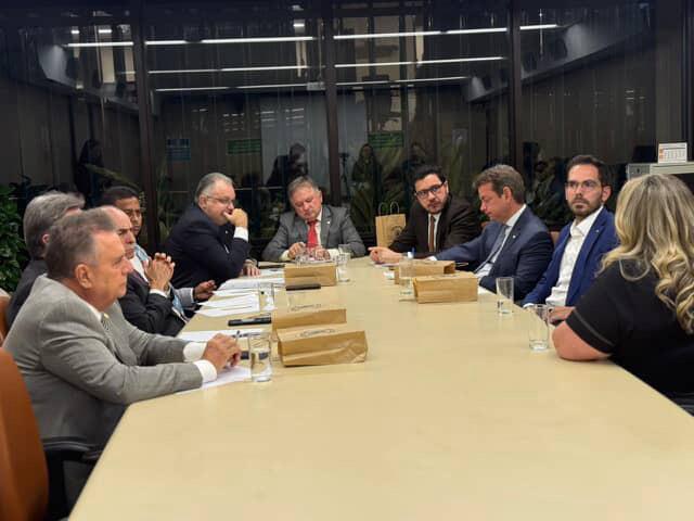 Saúde e infraestrutura são prioridades da bancada do Piauí para 2026