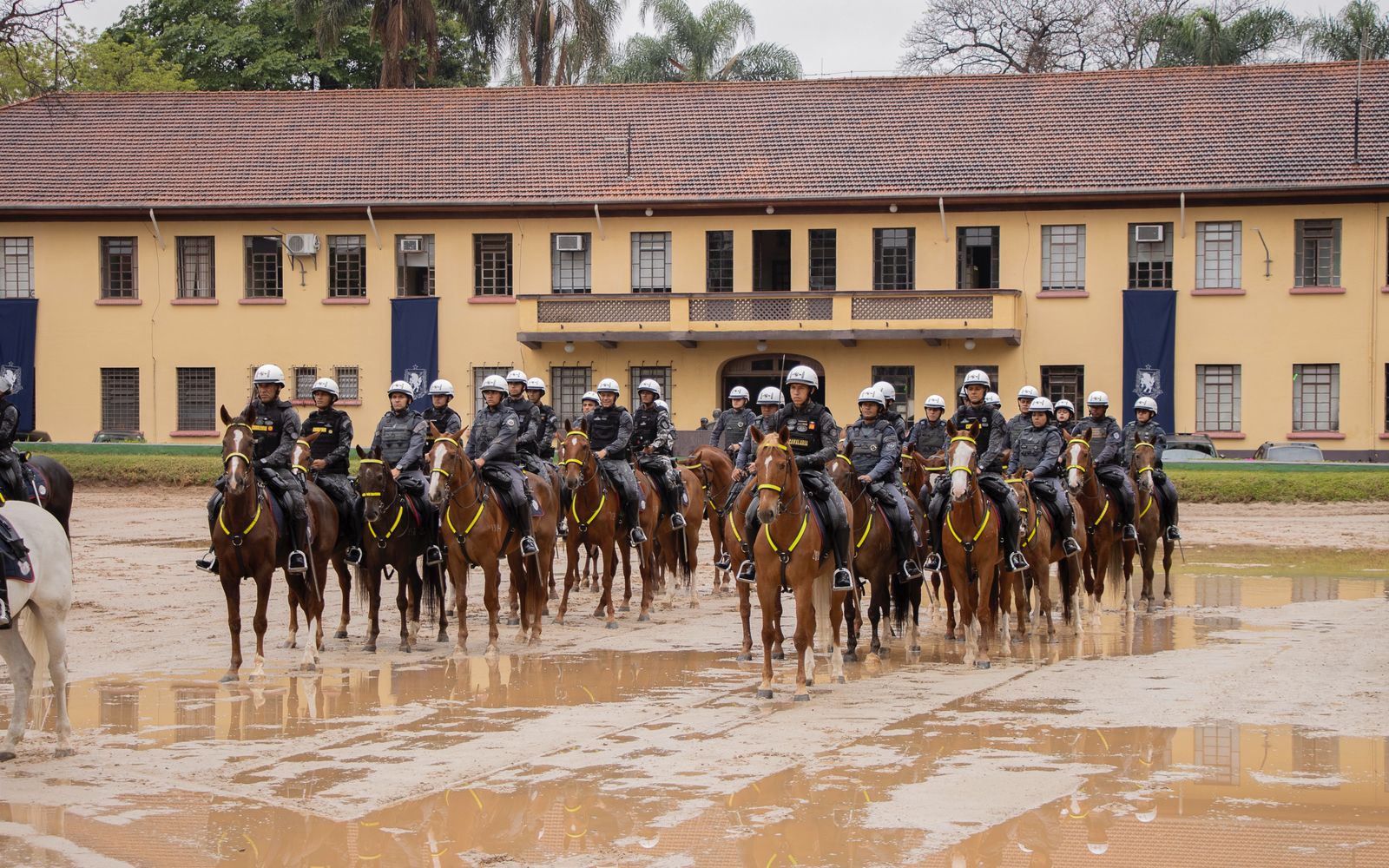 Capacitação em São Paulo fortalece atuação da Cavalaria da Polícia Militar do Piauí