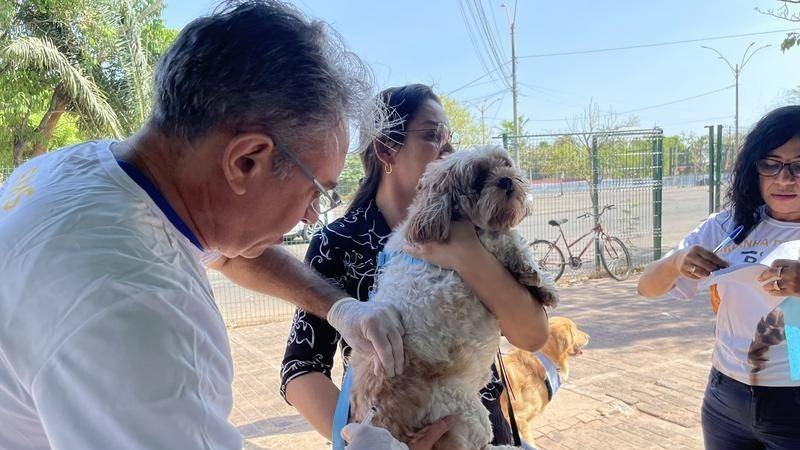 Vacinação contra a raiva na zona rural de Teresina começa neste sábado (18)