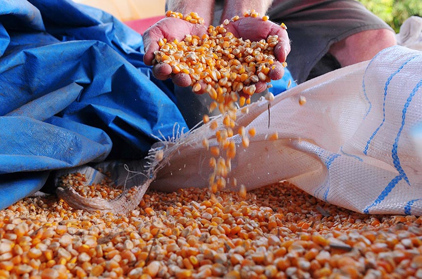 Medida Provisória libera R$ 190 milhões para fortalecer agricultura familiar