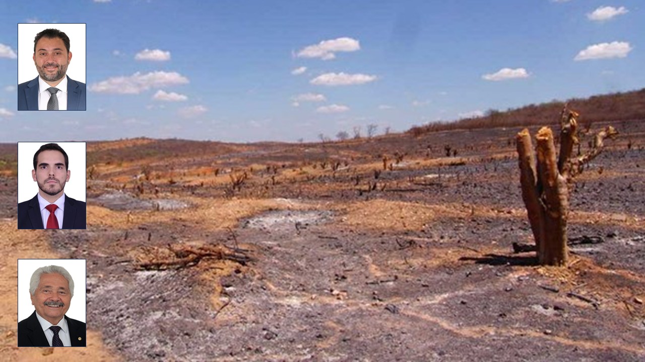Deputados do Piauí que votaram a favor da devastação ambiental
