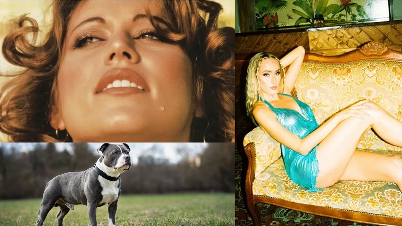 Ex-chacrete Lia Hollywood morre após ataque de pitbull do próprio filho