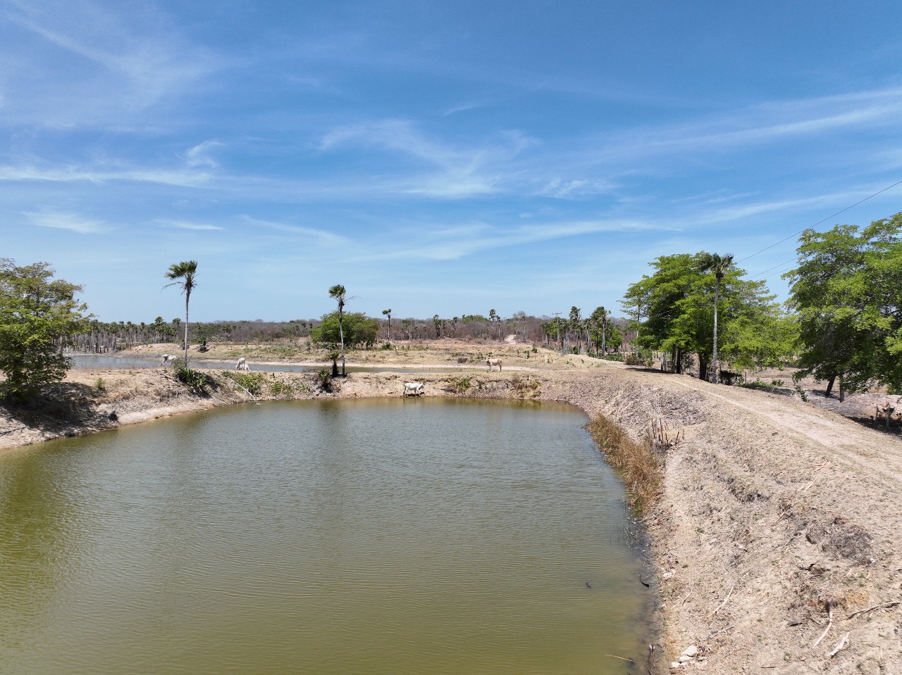 Semarh intensifica fiscalização e monitoramento das condições ambientais para proteção da Lagoa do Portinho