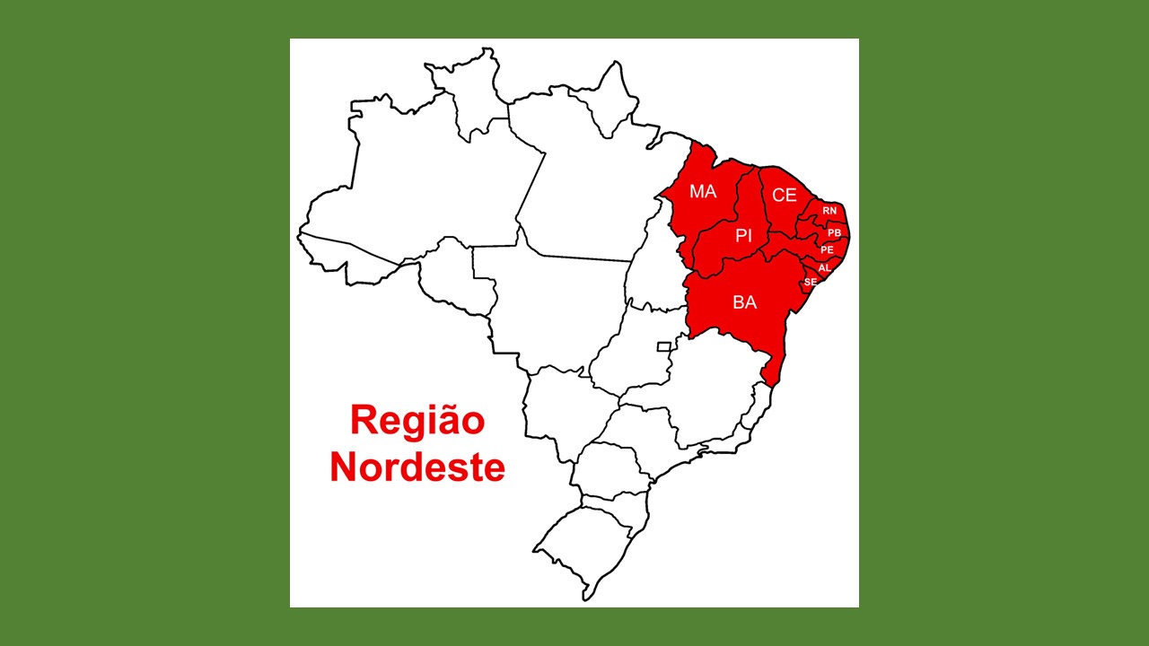 Nordeste assume a vanguarda da inovação no Brasil e da salto rumo à autonomia digital