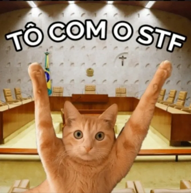 6932cd4e4c87e_WhatsApp Image 2025-12-05 at 09.08.56 (4)