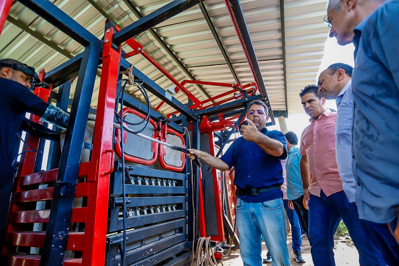 Piauí +Genética: Melhoramento genético do rebanho bovino já beneficia mais de 1.100 produtores em 103 cidades do estado