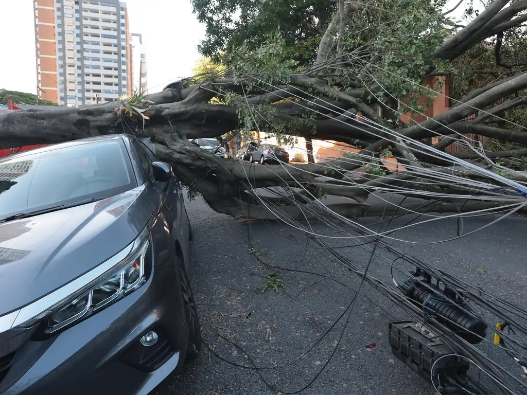 Ciclone extratropical provoca caos e apagão em SP