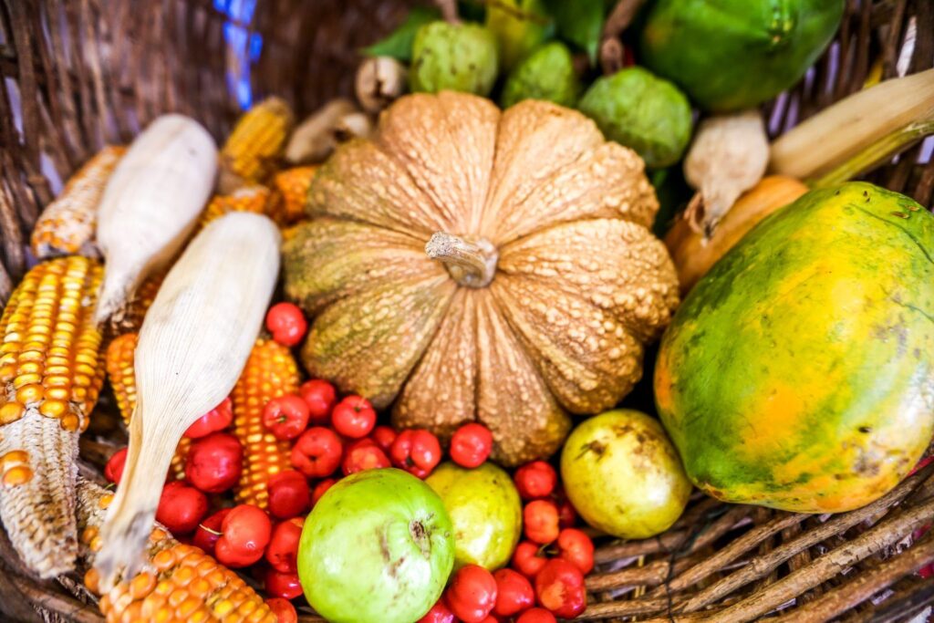 SAF entrega alimentos da agricultura familiar a 1.300 famílias vulneráveis em Teresina nesta quarta (17)