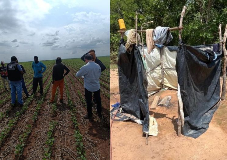 Trabalhadores em situação análoga à escravidão são resgatados no Piauí