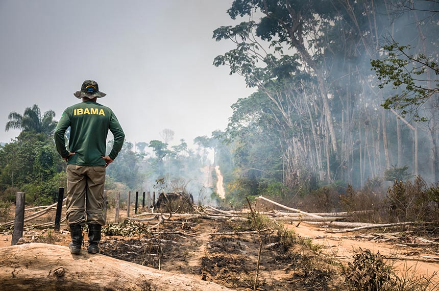 Medida provisória libera R$ 60,46 mi para combate a incêndios e desmatamento