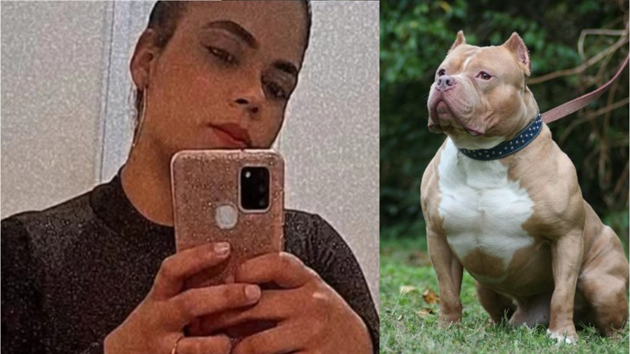 Jovem de 25 anos é morta em ataque de pitbull no quintal de casa