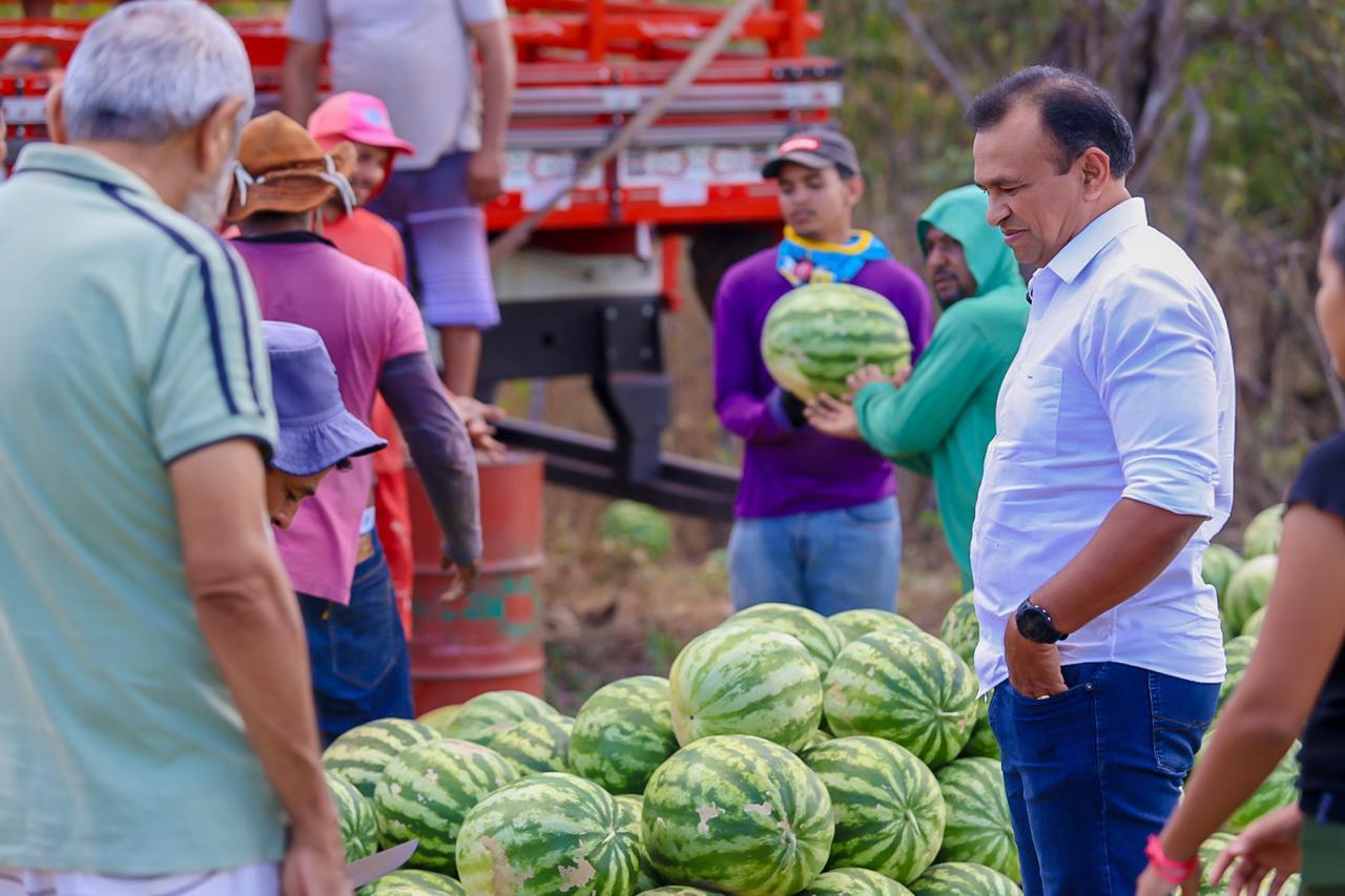 Programa Fomento Rural gera renda para mais de duas mil famílias vulneráveis e impulsiona produtividade no Piauí