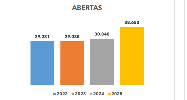 Piauí registra mais de 38 mil novas empresas em 2025