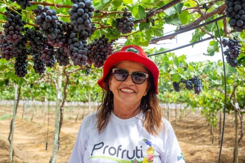 Piauí investe R$ 8,1 mi e avança na fruticultura sustentável