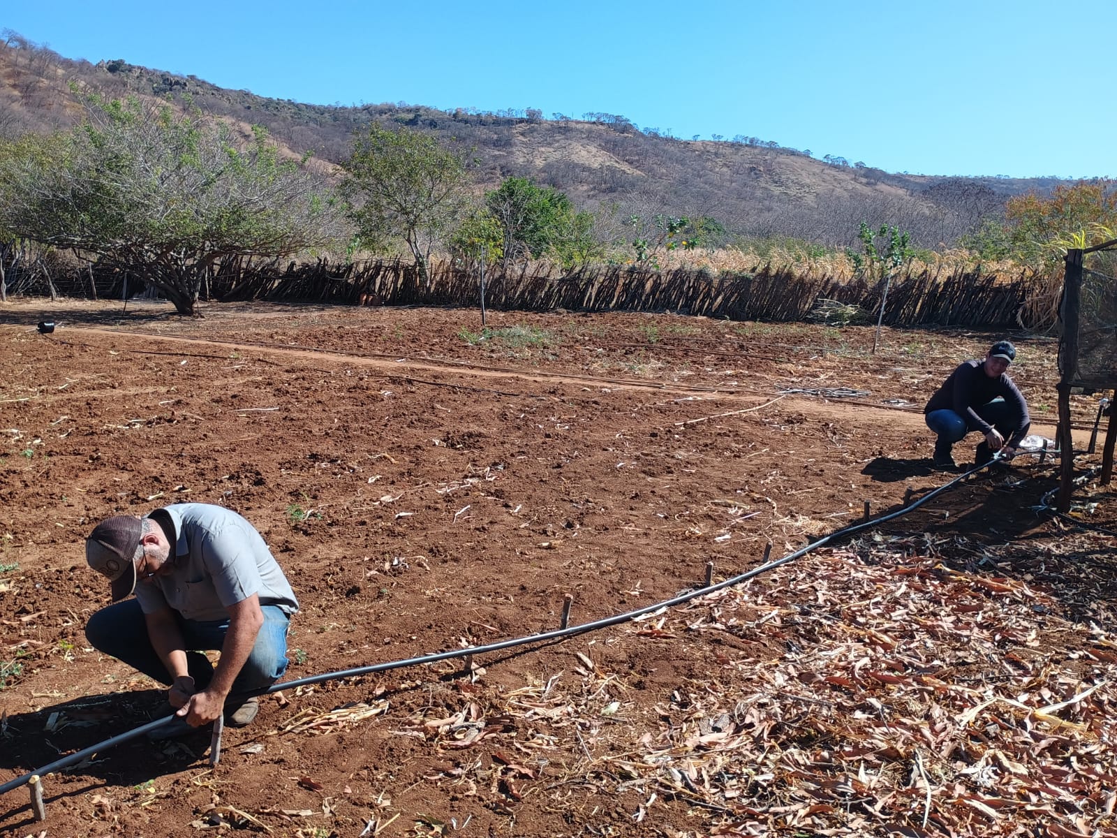 Programa já instalou mais de 1.300 kits de irrigação e garantiu acompanhamento permanente a pequenos produtores