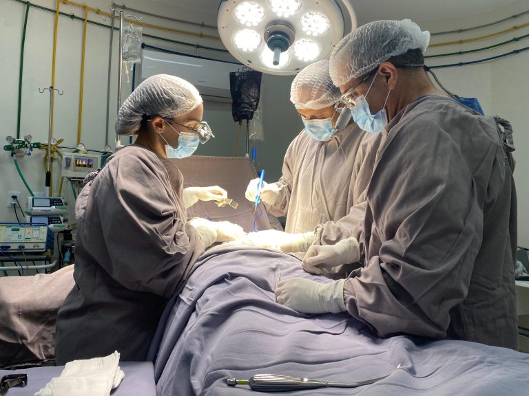 Piauí bate recorde em transplantes e doação de órgãos