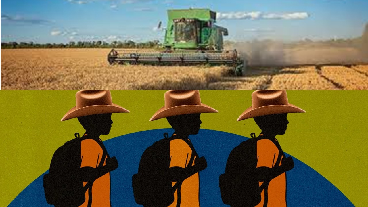 Associação ligada ao agro quer influenciar planos de educação estaduais e municipais