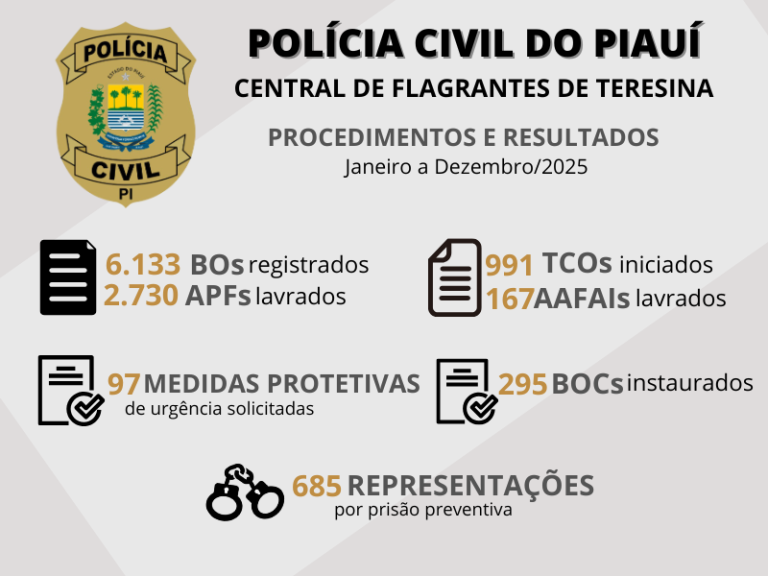Polícia Civil divulga balanço anual nas Centrais de Flagrantes de Teresina e Parnaíba