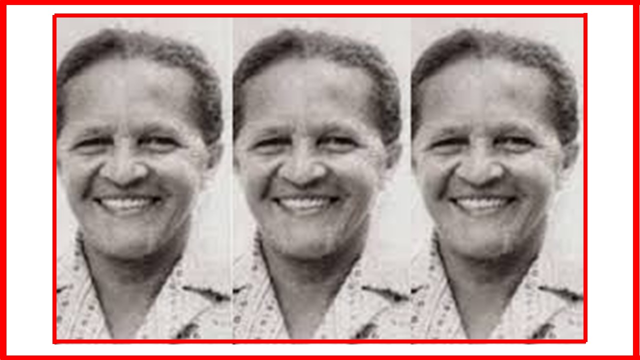 Ave Lindú