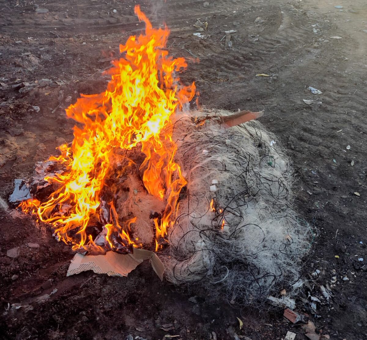 Fiscalização da Semarh flagra atividade irregular durante a piracema e apreende 66 kg de peixe no sul do Piauí