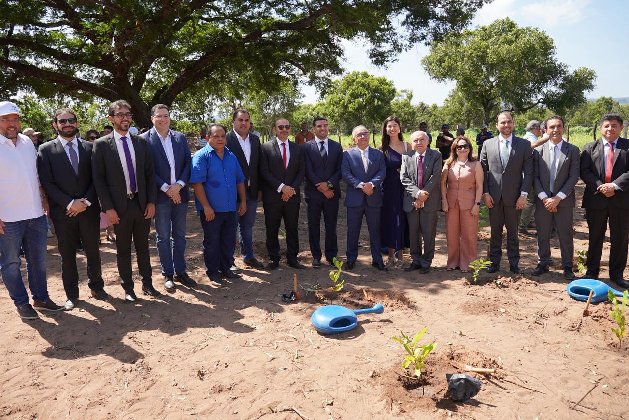 Governo do Piauí entrega 3 mil mudas frutíferas e nativas em Santa Filomena