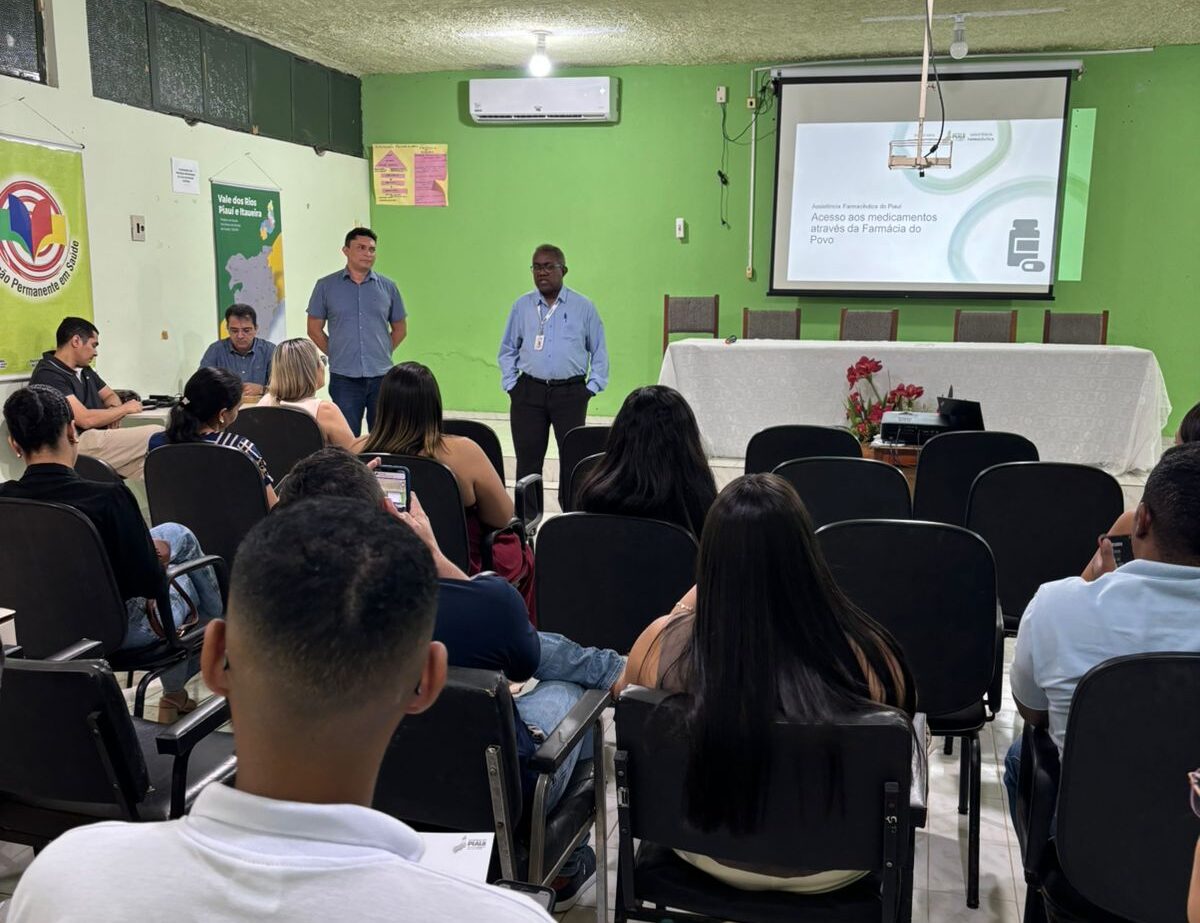Sesapi promove oficina de capacitação para farmacêuticos na região do Vale do Rio Piauí e Itaueira